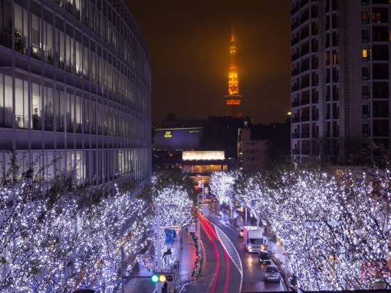 Winter illumination Roppongi Keyakizaka