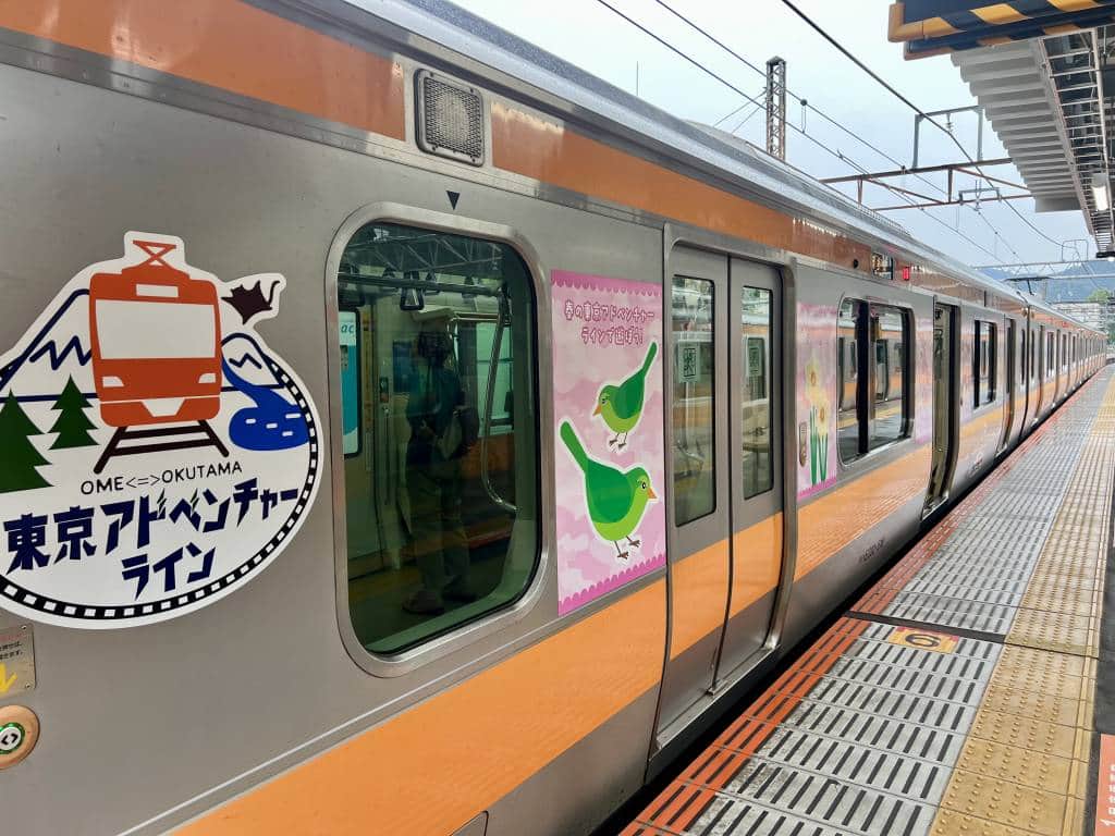 Train between Ome and Okutama