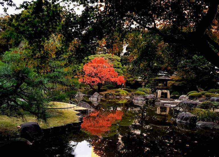 Japanese garden and pond