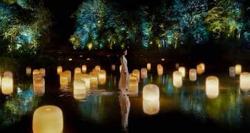 teamLab Hidden Traces of Rice Terraces