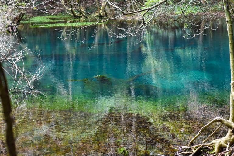 maruike pond brilliant blue colors
