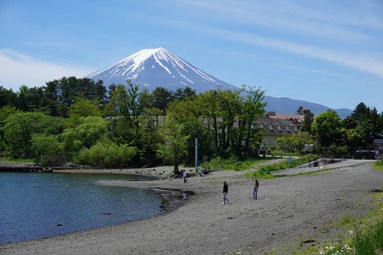 在大池公園河口湖前，拍攝在藍天下封了雪頂的富士山