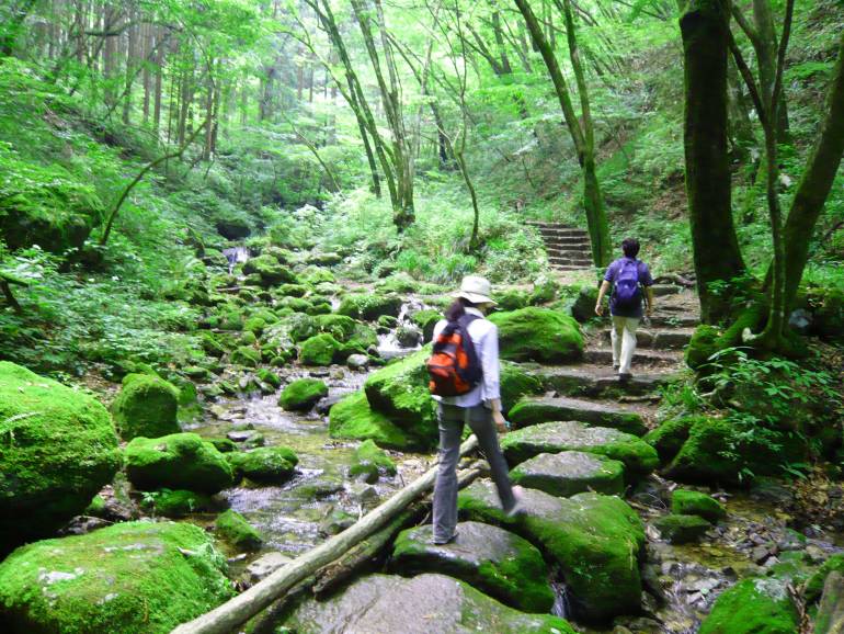 Rock Garden on Mount Mitake 