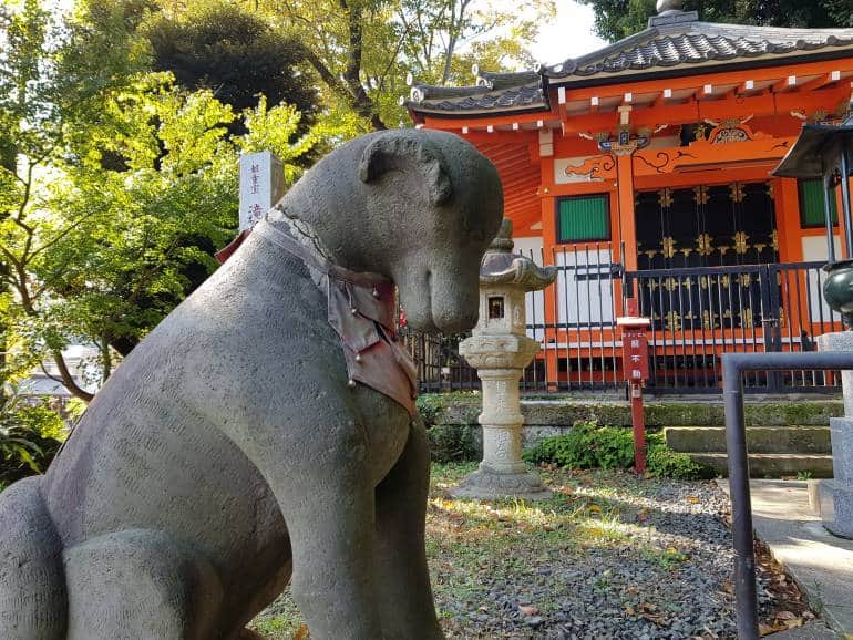 Shrine dog