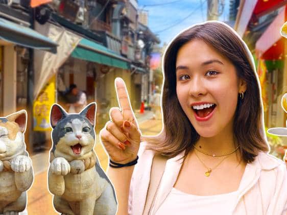 15 TOP TIPS for Ueno, Tokyo - Ueno Park, Yanaka Ginza, Kuramae & More!